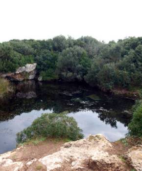 Tour di Porto Cesareo con visita al Museo di Biologia Marina